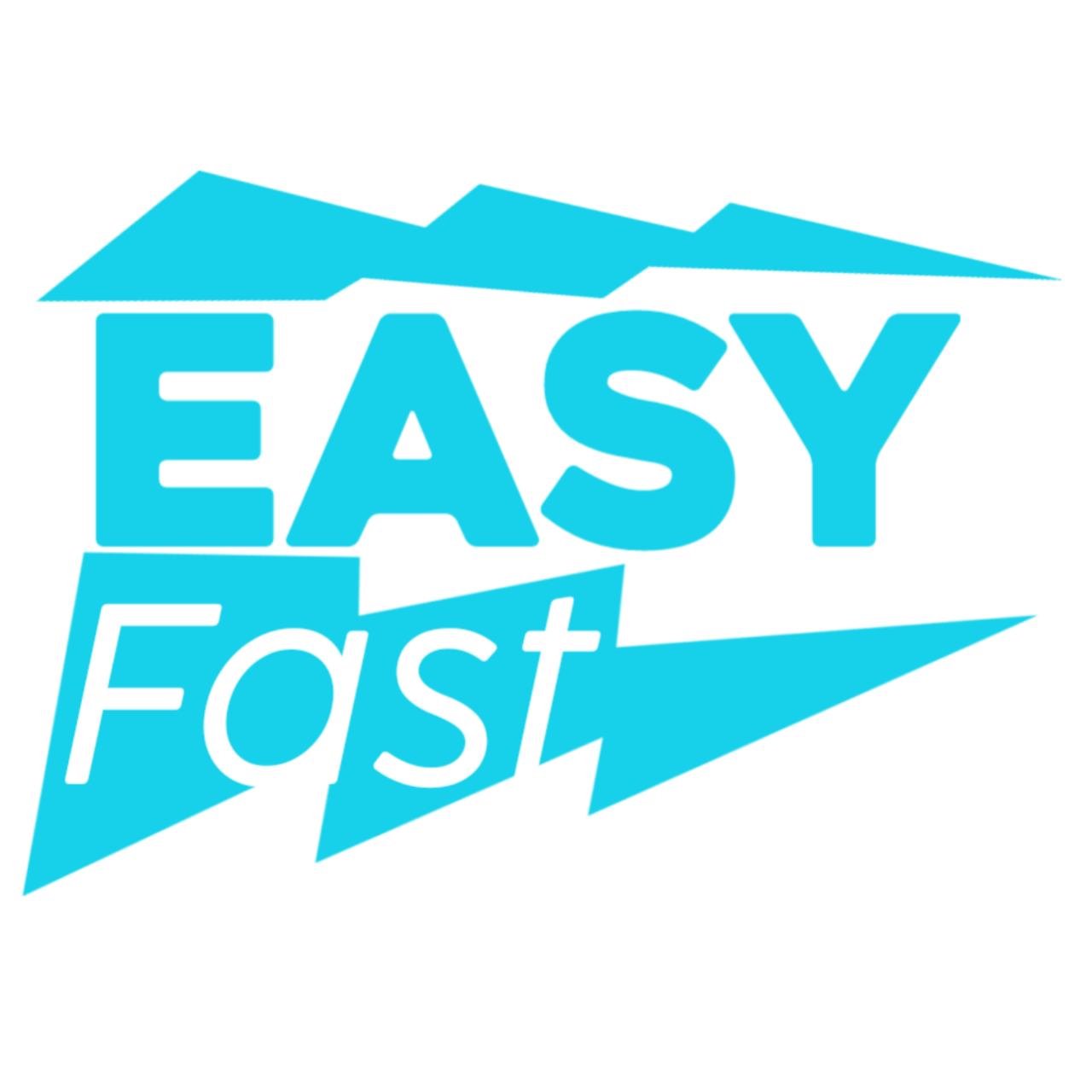 EasyMarket Logo